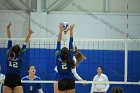 VB vs Salve  Wheaton Women’s Volleyball vs Salve Regina University. : volleyball